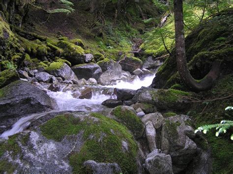 Nude Hikes Nude Hiking And Soaking In The Pacific Northwest Page