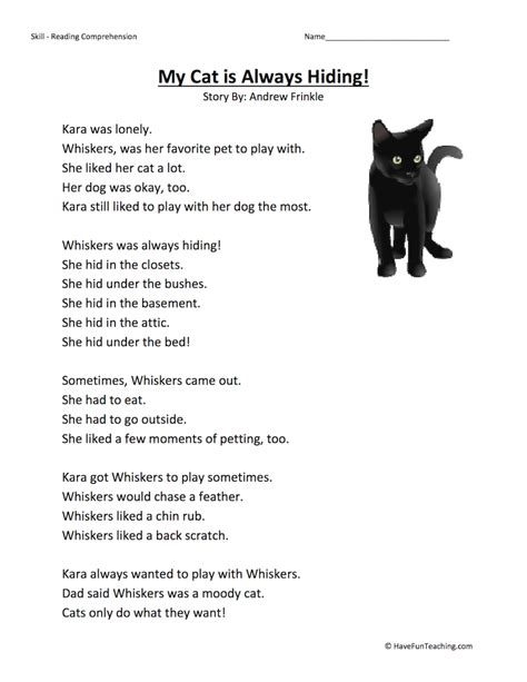 My Pet Cat Reading Comprehension Worksheet Have Fun Teaching