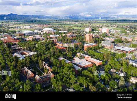 Aerial view of the campus at Montana State University, Bozeman Stock ...