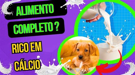 Pode Dar Leite Para Cachorro Filhote Ou Adulto Rico Em Calcio A Forma