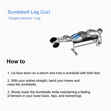 Effective Dumbbell Workout Routine Lower Body Smash Your Limit BurnFit