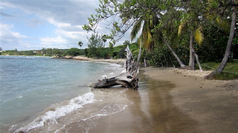 Jack Sprat Treasure Beach Jamaica The Jamaica Photo Project