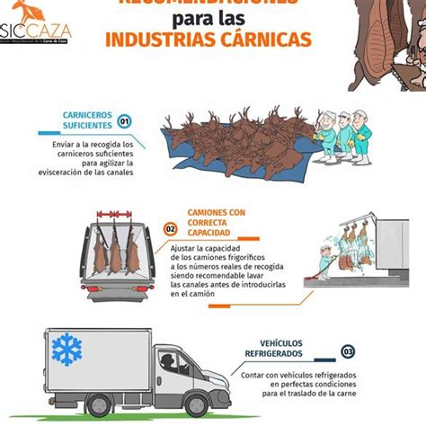 Cómo pasar un vehículo a histórico guía práctica y consejos Cambios