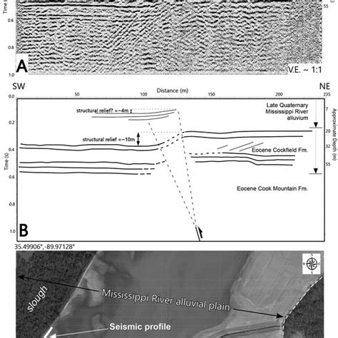 A S Wave Seismic Reflection Profile Across The Warren Quarry