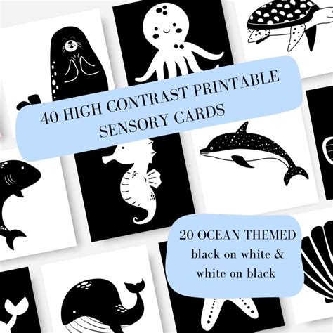 40 High Contrast Baby Cards Newborn Printable Montessori Black And