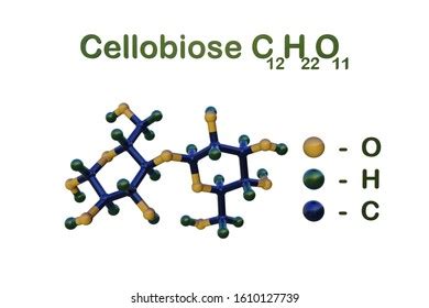 Structural Chemical Formula Molecular Model Cellobiose Stock ...