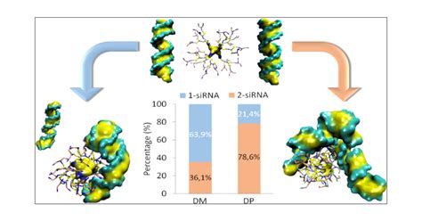 Molecular And Coarse Grained Modeling To Characterize And Optimize