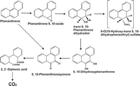 Frontiers Current State Of Knowledge In Microbial Degradation Of