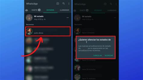 C Mo Quitar El Silencio De Los Estados De Whatsapp