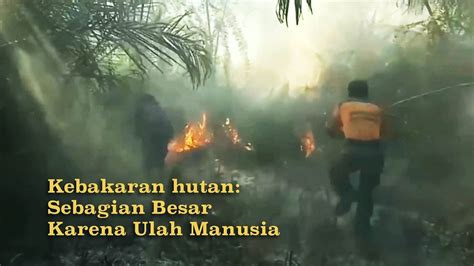 Kebakaran Hutan Sebagian Besar Karena Ulah Manusia Youtube