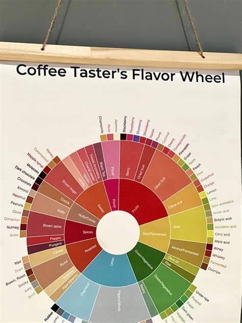 Coffee Taster's Flavor Wheel Chart Print, Colorful Wall Art Diagram for ...