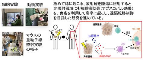 放射線治療生物学研究室（放射線技術科学専攻／生体物理工学講座）｜研究室紹介｜大阪大学医学部保健学科・大阪大学大学院医学系研究科保健学専攻