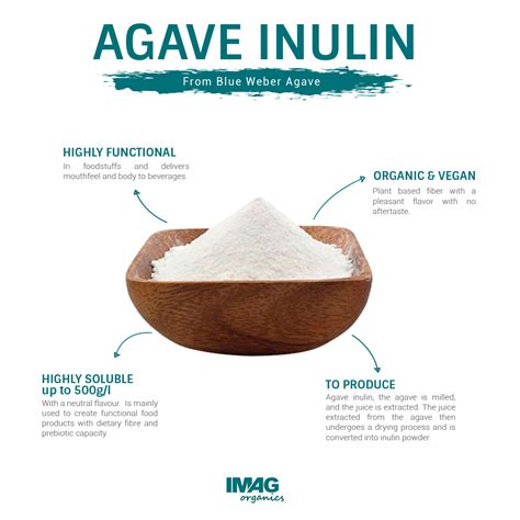 Agave Inulin (Prebiotic Fibers) | IMAG Organics | Ingredients Network