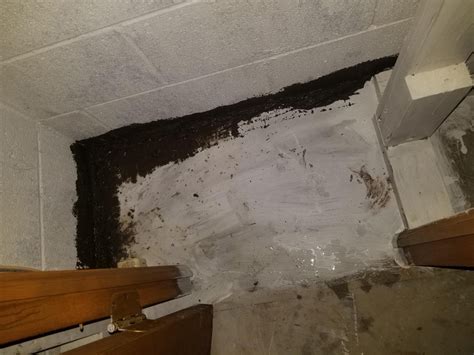 Water Damage Repair & Mold Removal Project in Mt. Airy MD