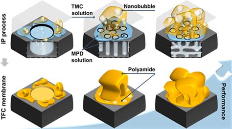 Dissecting The Role Of Substrate On The Morphology And Separation