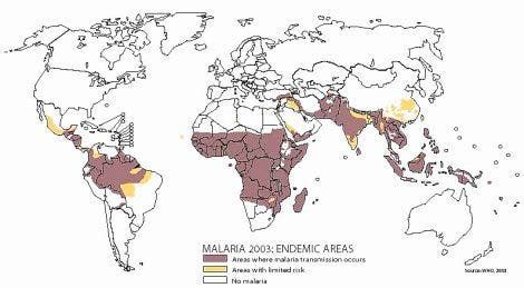 Das Aktuelle Stichwort Malaria Spektrum Der Wissenschaft