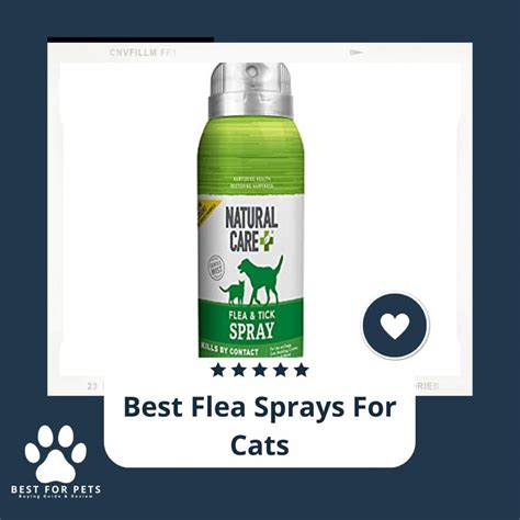 Bestforpets All The Things Your Pets Need