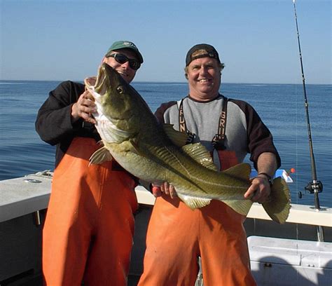 Cod Fishing Charters Gloucester Massachusetts