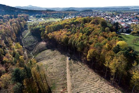 Eine Schneise für Ortsumfahrung Region Nürtinger Zeitung ntz de