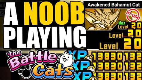 Noob To Pro Omg Awakened Bahamut Cat Is Wonderful Talents