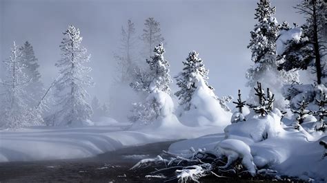 🔥 [70+] Snowy Trees Wallpapers | WallpaperSafari