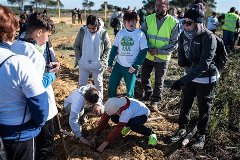 Im Genes De Plantaci N De Rboles En La Zona Afectada Por El Incendio