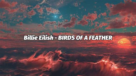 Billie Eilish Birds Of A Feather Lyrics Youtube