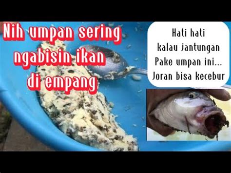 Pake Umpan Ini Selalu Dapat Hasil Sangat Memuaskan Coba Pindah Lapak