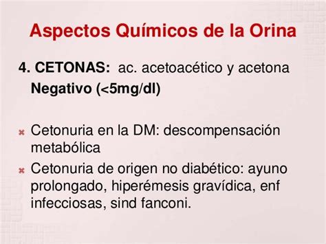 Examen De Orina