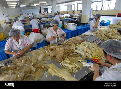 pet food factory high resolution stock photography  images alamy