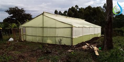 Types Of Greenhouses In Kenya Aqua Hub Kenya