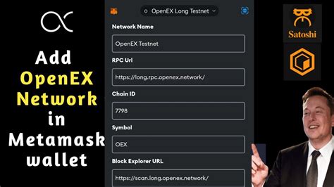 How To Add OpenEx Network In Metamask Wallet YouTube