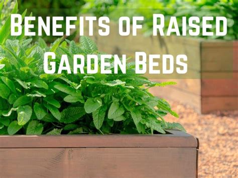 How To Fill Raised Garden Beds Cheap Learn To Grow Gardens