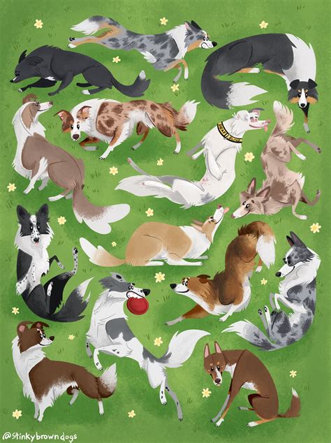 Border Collie Art Print Etsy