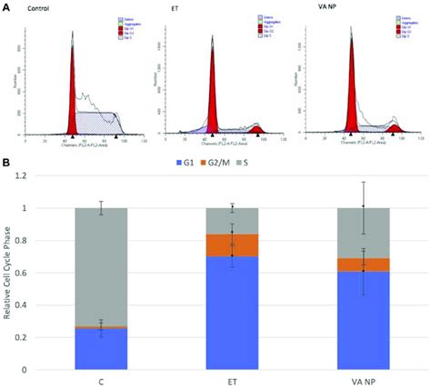 Cell Cycle Phase Distribution In Treated Mcf 7 Cells A Mcf 7 Cell Download Scientific