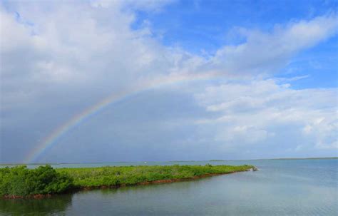 Biking in Key West: Florida Keys Overseas Heritage Trail is scenic & safe