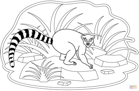 Lemur Coloring Page Free Printable Coloring Pages