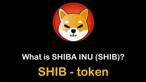 购买柴犬币shib币的三个最佳交易所盘点（2024年11月）币种百科区块链脚本之家