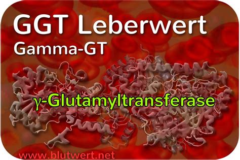 Ggt Wert Gamma Gt γ Gt Einfach Erklärt