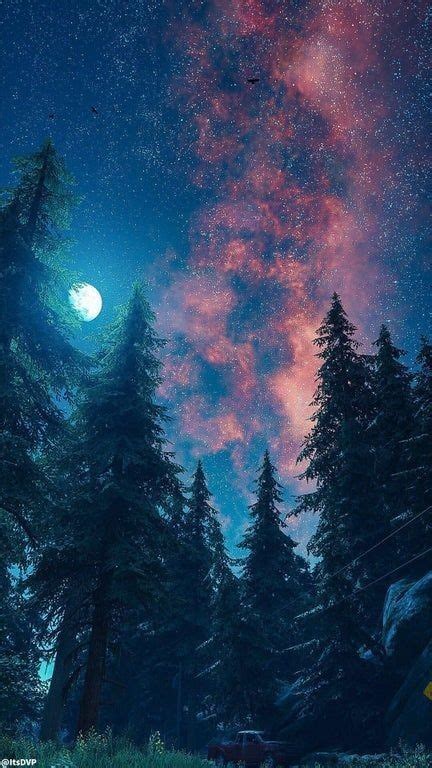 The Night Sky Is Filled With Stars And Trees