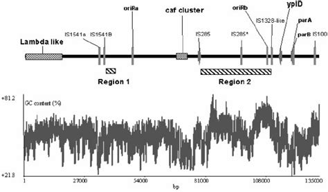 G ϩ C Content And Graphic Map Of Pg8786 The Plot Showing The G ϩ C Download Scientific Diagram