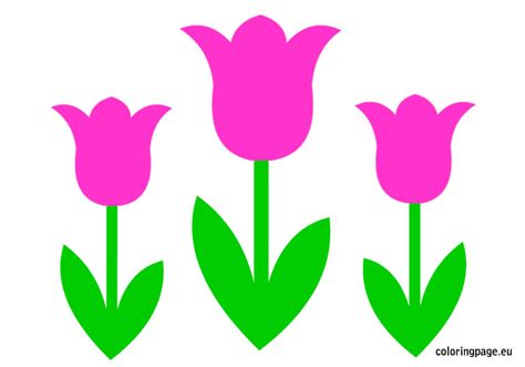 Tulip Template Free Printable