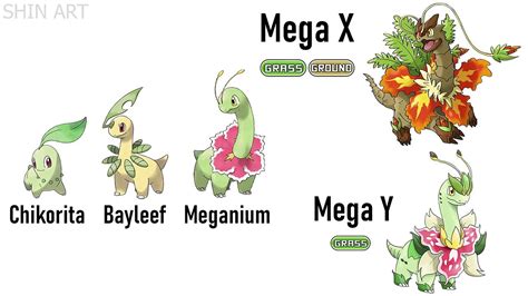 X And Y Starter Evolutions