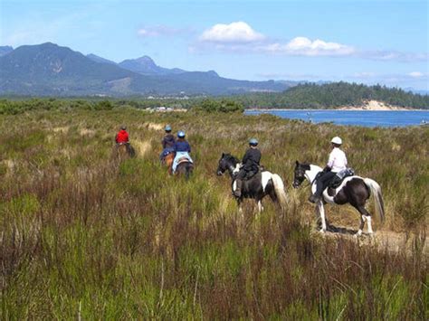 Nehalem Bay State Park – NW Horse Trails