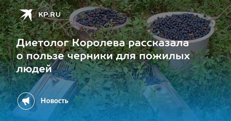 Диетолог Королева рассказала о пользе черники для пожилых людей Kp Ru