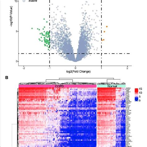 Differentially Expressed Genes DEGs Between Chronic Obstructive