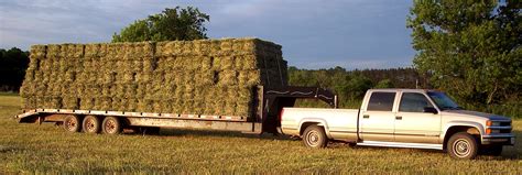 Certified Organically Grown Hay From Treasured Haven Farm