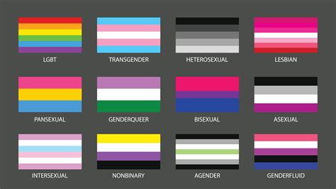 set simple sexual and gender colorful flags 26056891 Vector Art at Vecteezy