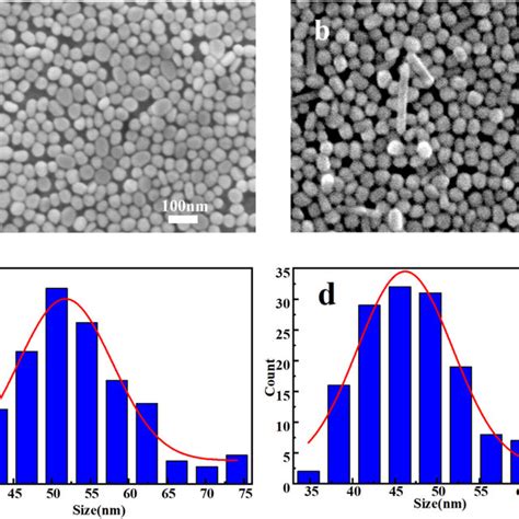 Sem Image Of Self Assembly Of A The Aunp Monolayer And B The Agnp Download Scientific