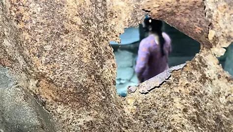 Desi Indian Couple In Bathroom Early Morning Sex Before Office Work Xhamster